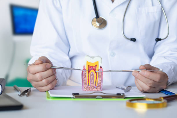 Best Emergency Treatment for Toothache in Tremont, IL